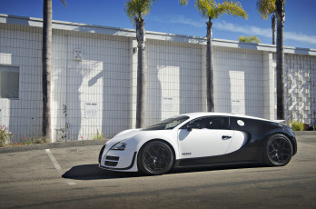 Картинка bugatti+veyron+pur+blanc автомобили bugatti a s automobiles франция класс-люкс спортивные