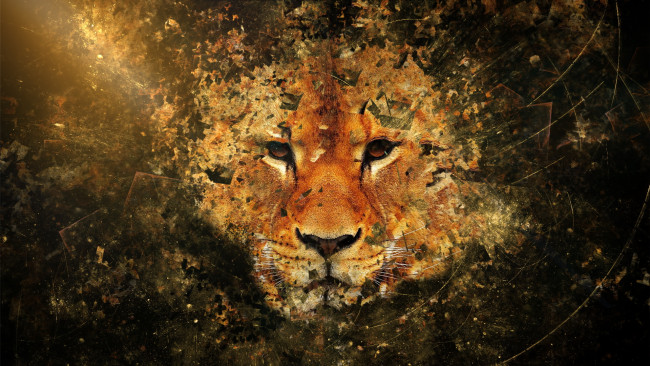 Обои картинки фото разное, компьютерный дизайн, морда