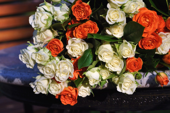 Обои картинки фото цветы, розы, букет