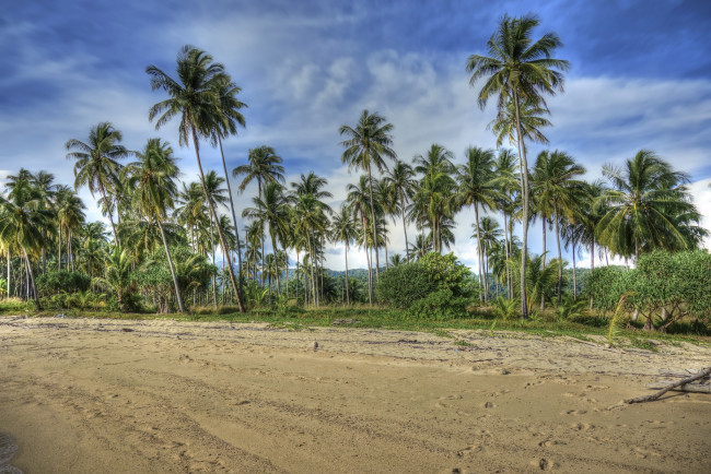 Обои картинки фото природа, тропики, облака, пальмы, пляж