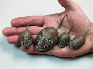 Картинка разное ремесла +поделки +рукоделие рука камушки мыши