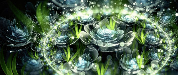 Картинка 3д+графика цветы+ flowers цветы капли абстракция лепестки бутон