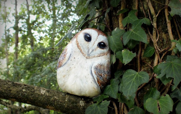 Картинка разное ремесла +поделки +рукоделие дерево листья плющ камень сова