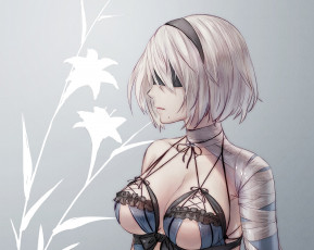 Картинка видео+игры nier +automata automata