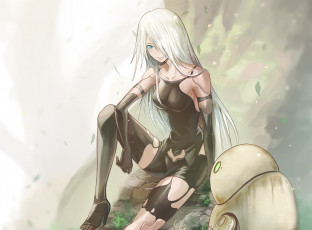 Картинка видео+игры nier +automata automata