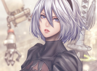 Картинка видео+игры nier +automata automata