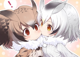 Картинка аниме kemono+friends kemono friends