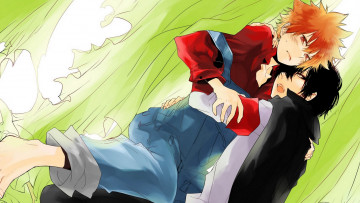 Картинка аниме katekyo+hitman+reborn парни пара