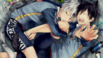 Картинка аниме yowamushi+pedal парни