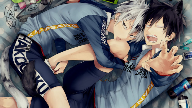 Обои картинки фото аниме, yowamushi pedal, парни