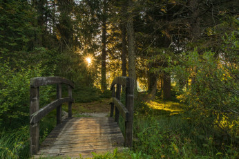 Картинка природа дороги простор