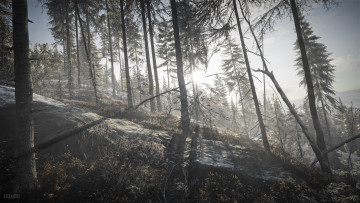 Картинка mirror`s+edge+catalyst видео+игры the+hunter +call+of+the+wild эпизод