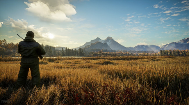 Обои картинки фото видео игры, the hunter,  call of the wild, эпизод