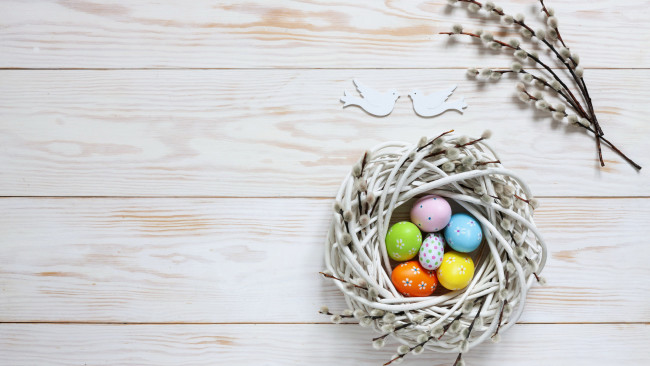 Обои картинки фото праздничные, пасха, писанки, верба, гнездо