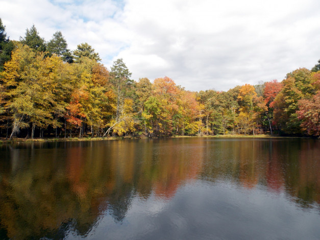 Обои картинки фото природа, реки, озера, река, осень