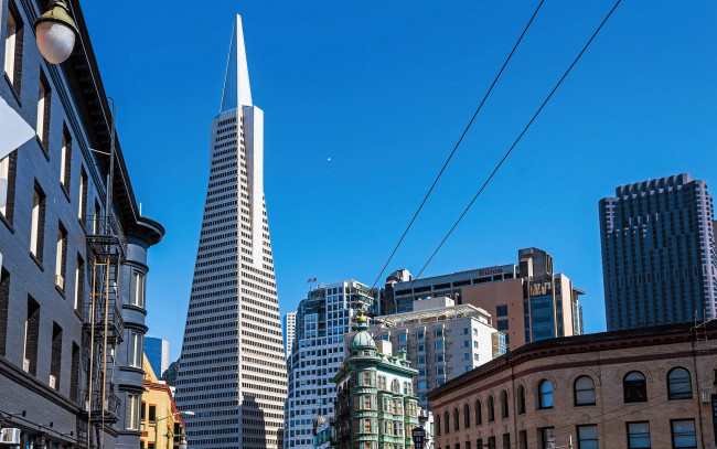 Обои картинки фото transamerica pyramid, города, сан-франциско , сша, transamerica, pyramid
