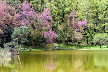 Картинка thailand природа реки озера