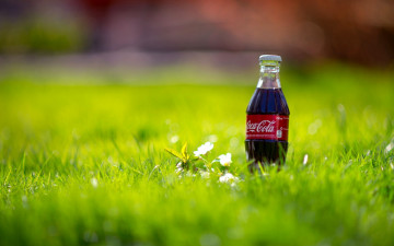 обоя бренды, coca-cola, напиток