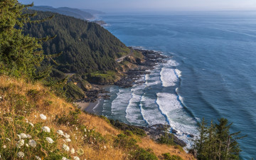 Картинка oregon usa природа побережье