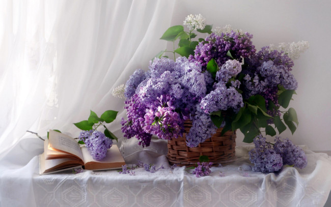 Обои картинки фото цветы, сирень, корзинка, лиловая, белая, книга