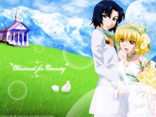 Картинка аниме gundam seed