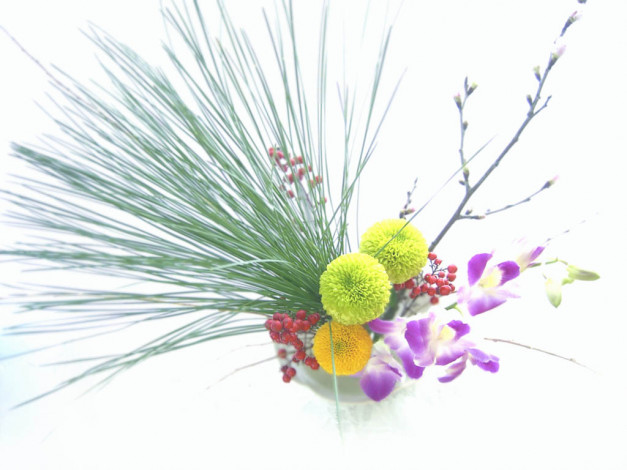 Обои картинки фото цветы, букеты, композиции