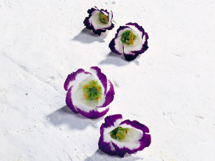 Картинка цветы эустома