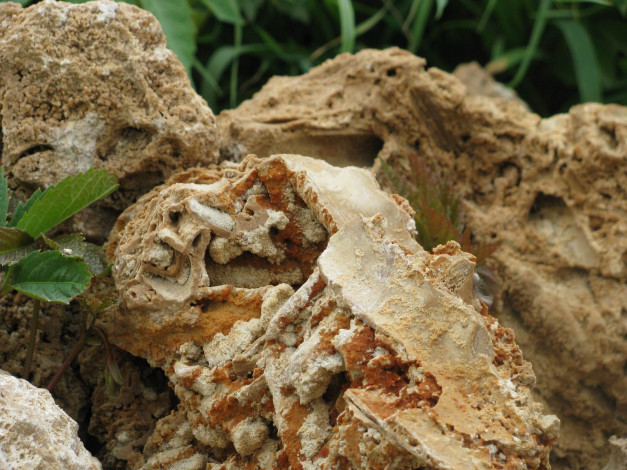 Обои картинки фото 