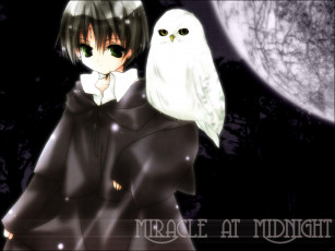 Картинка аниме aquarian age