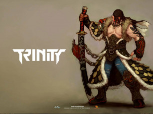 Картинка trinity видео игры online