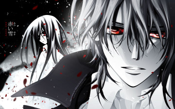 Картинка аниме vampire knight