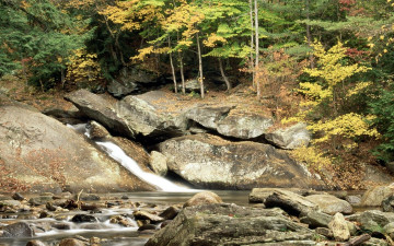 Картинка природа реки озера