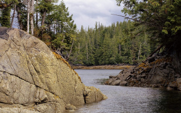 Картинка природа реки озера