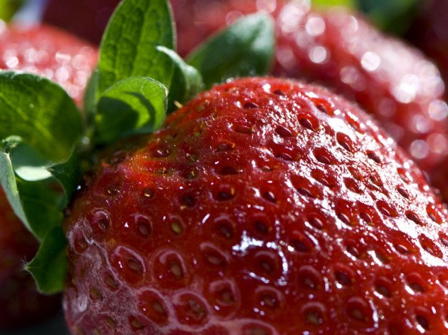 Обои картинки фото еда, клубника, земляника