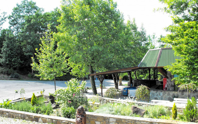 Обои картинки фото природа, парк