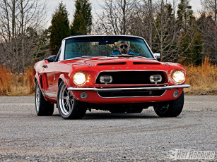 Картинка 1968 shelby gt500 автомобили mustang