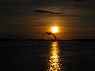 Картинка закат на волге природа восходы закаты