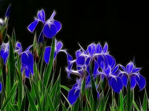 Картинка 3д графика flowers цветы нарциссы