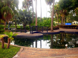 Картинка lake eola park orlando сша природа парк