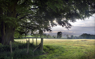 Картинка природа поля деревья забор небо