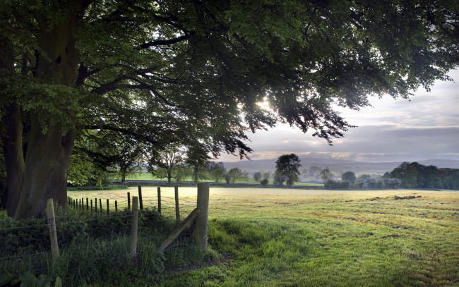Обои картинки фото природа, поля, деревья, забор, небо