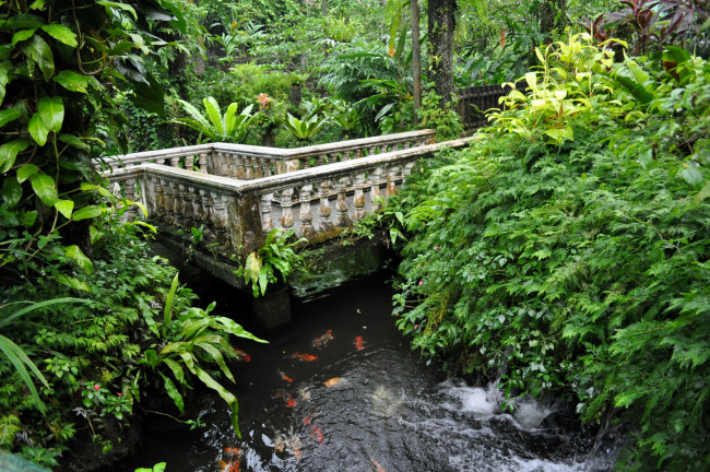 Обои картинки фото butterfly, park, of, kuala, lumpur, малайзия, природа, парк