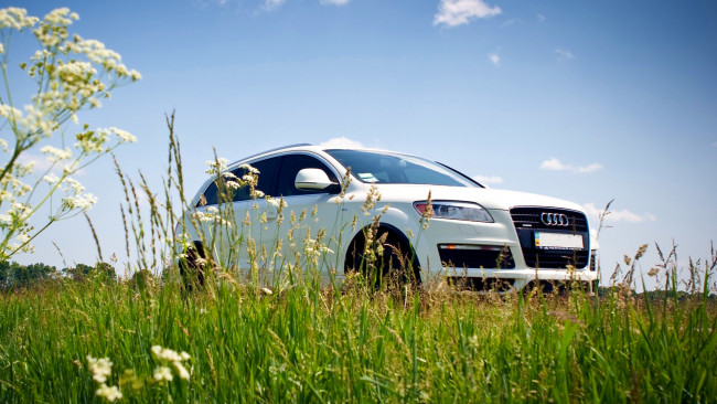 Обои картинки фото audi, q7, автомобили, volkswagen, group, германия