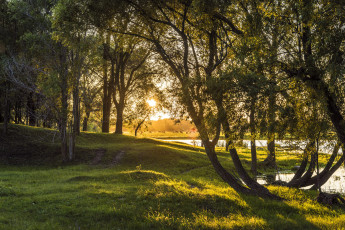 Картинка природа реки озера река лес