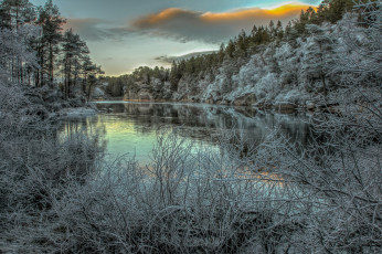 Картинка природа реки озера река лес