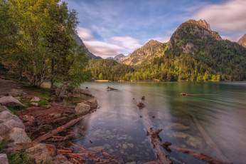 Картинка природа реки озера река лес