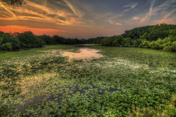 Картинка природа реки озера река лес