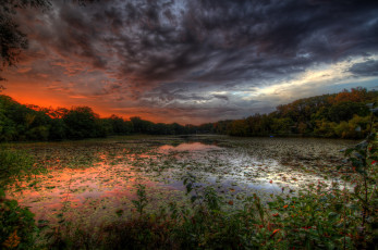 Картинка природа реки озера река лес