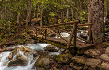 Картинка природа реки озера река лес