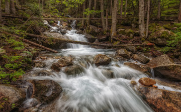 Картинка природа реки озера река лес